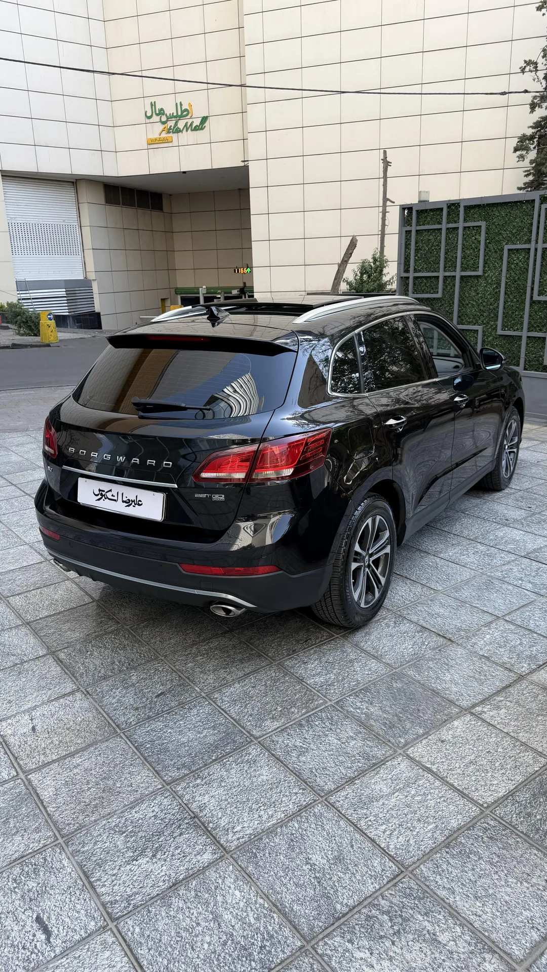 بورگوارد  BX7 3