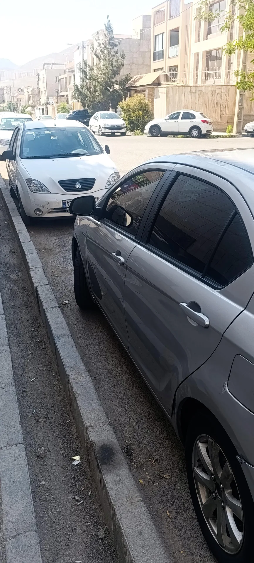 گریت وال  C30 2