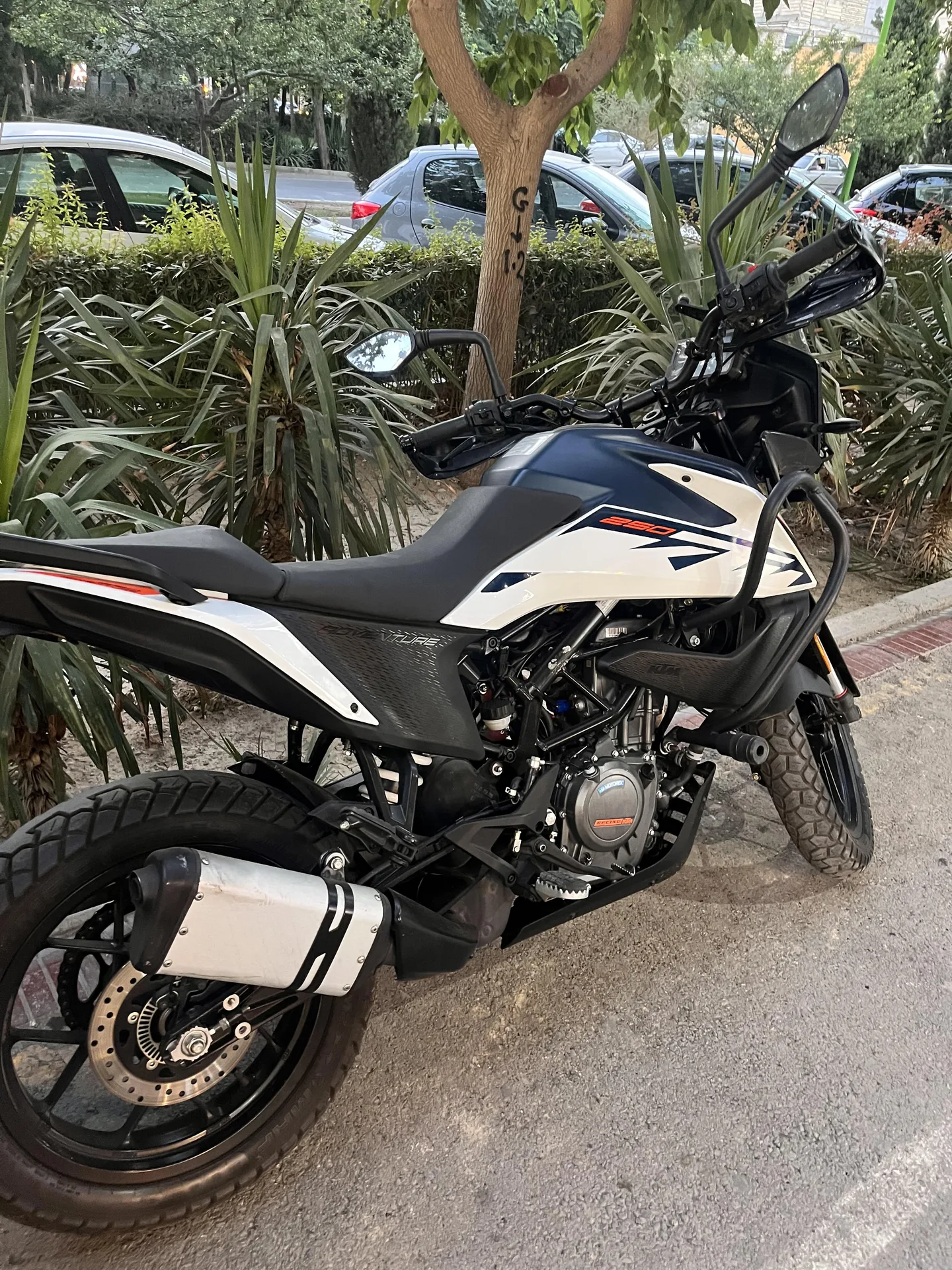 کی تی ام ادونچر 250
