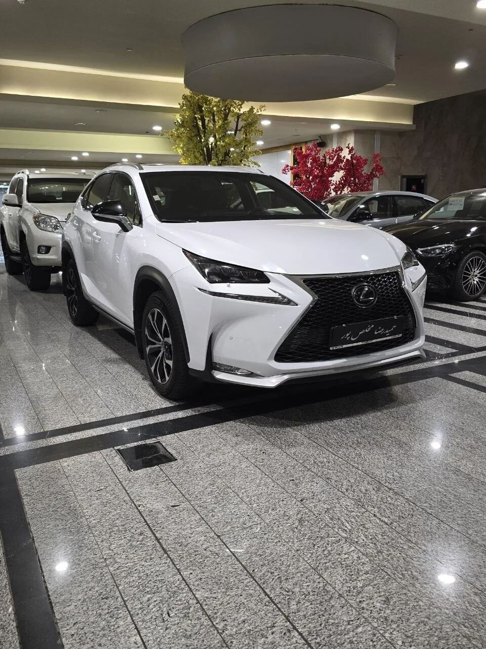 لکسوس  NX 2