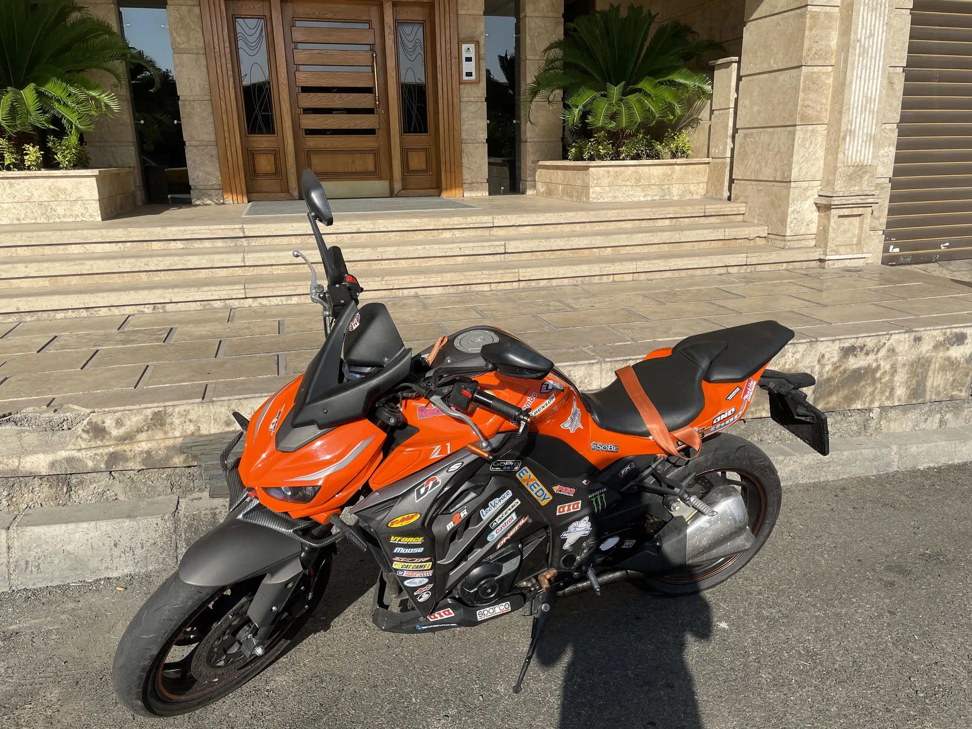 جهان همتا بلنتا Z 249
