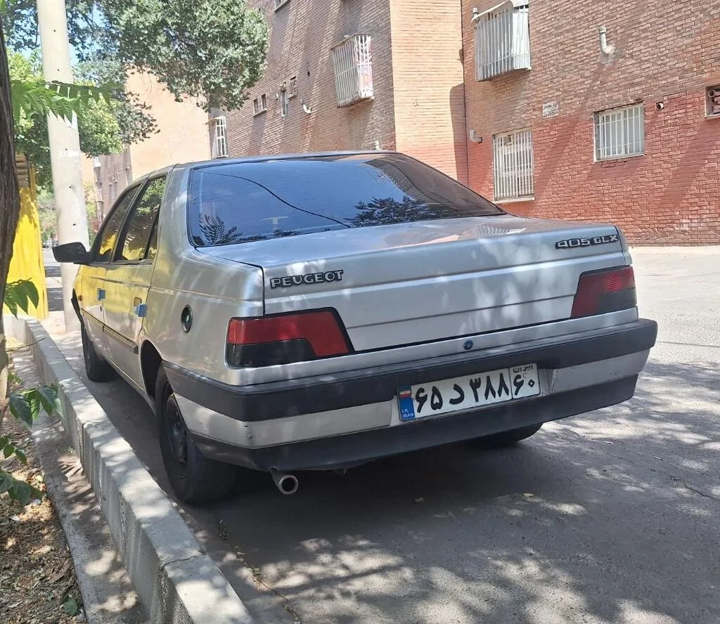پژو  405 2