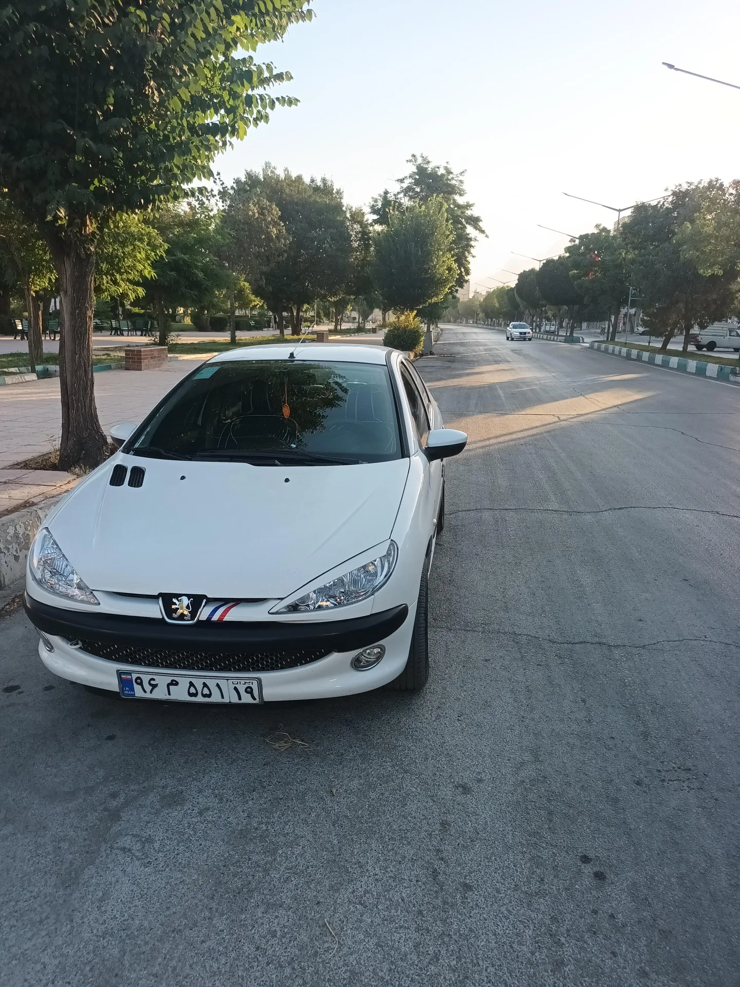 پژو 206 SD
