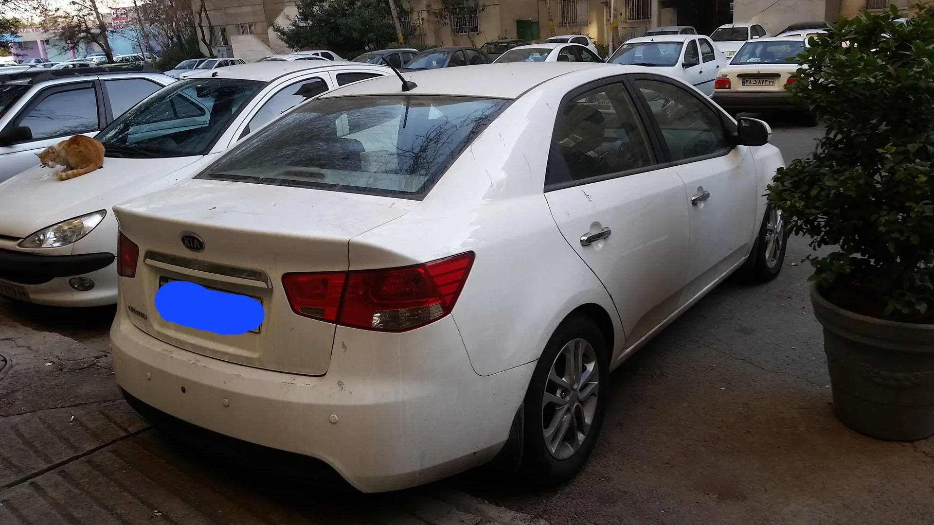 کیا سراتو (مونتاژ)