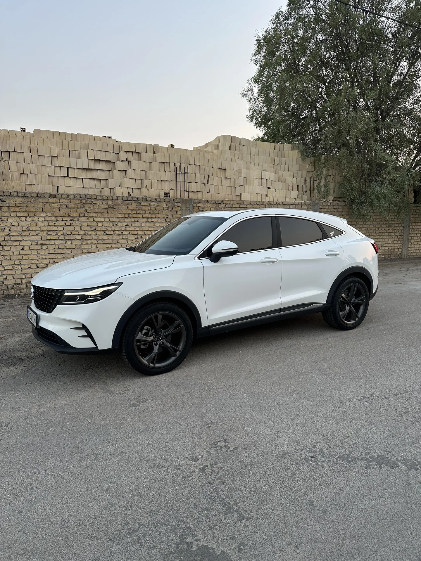 دیگنیتی پرستیژ