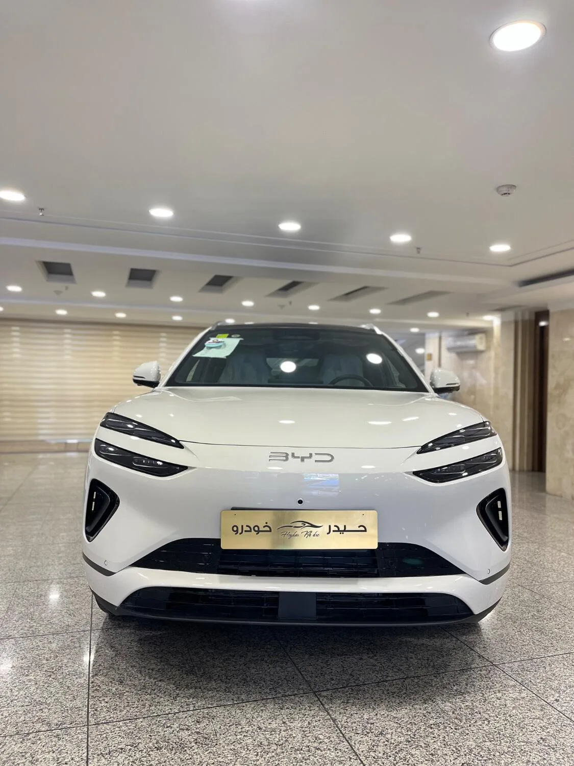 بی وای دی سی لاین 06 DMi