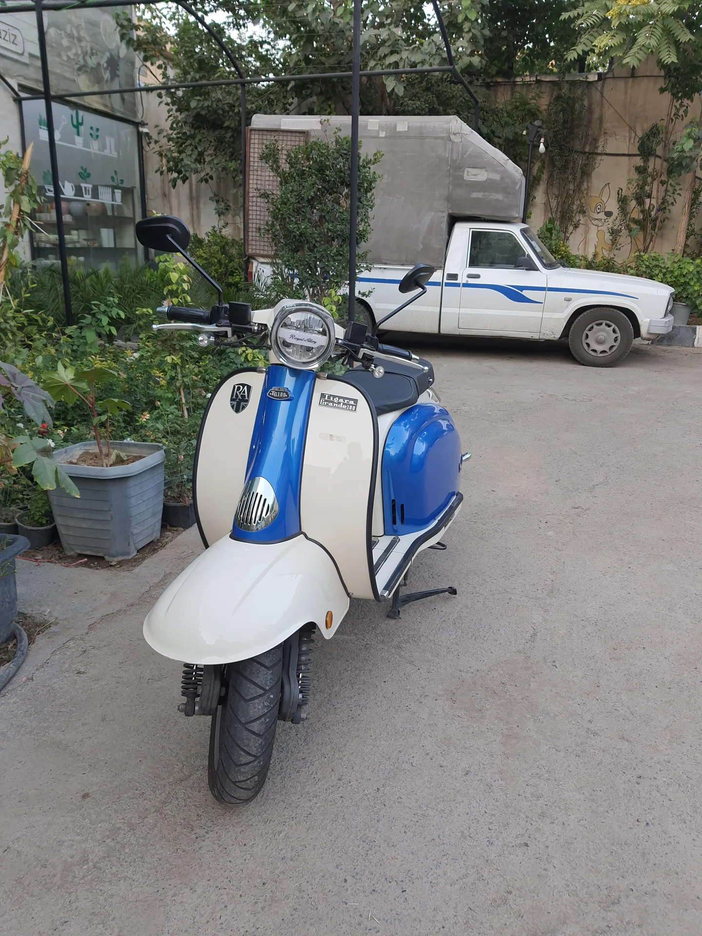 رویال الوی  TG 180 4