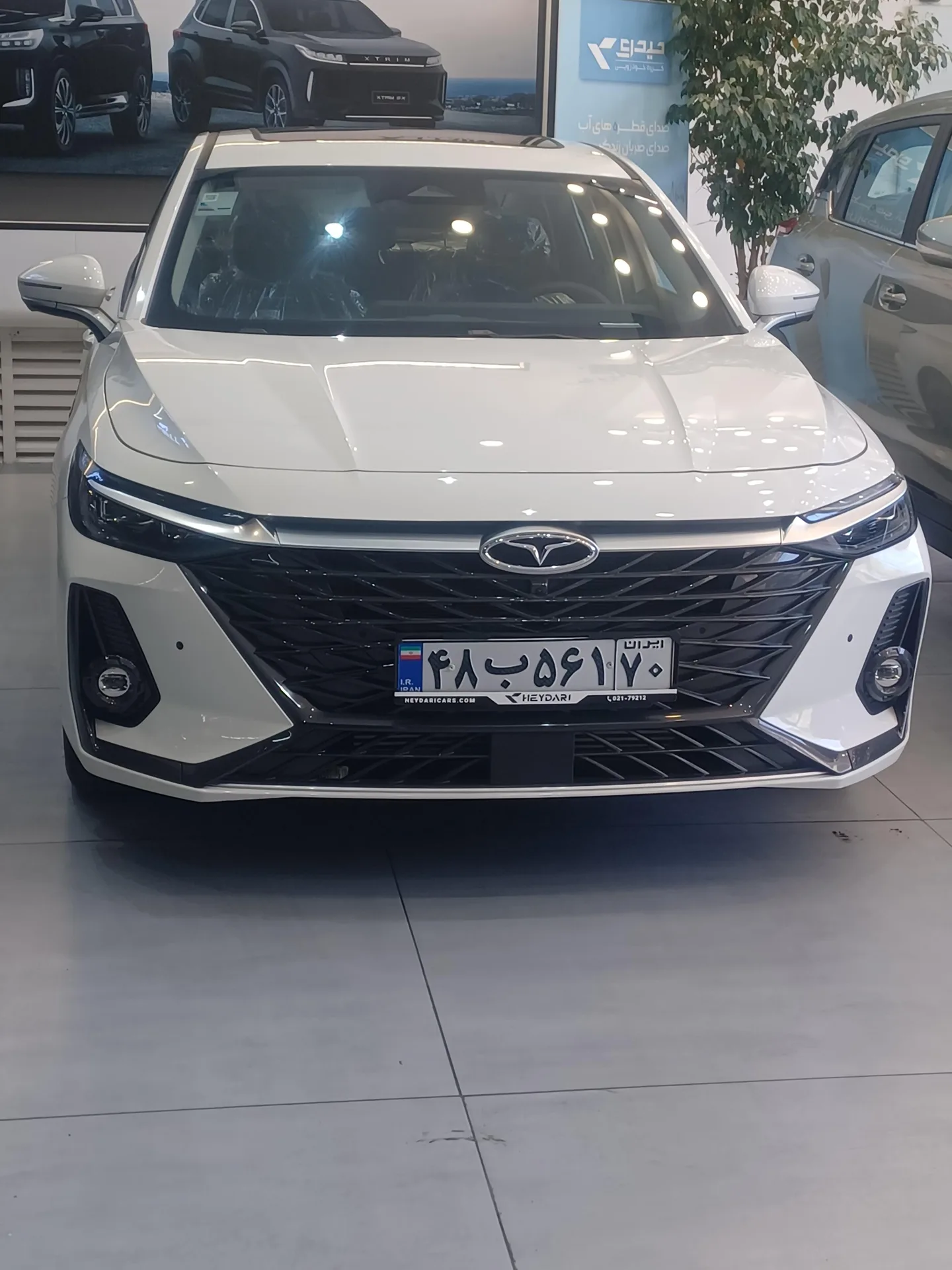 فونیکس آریزو 8 (Z8)