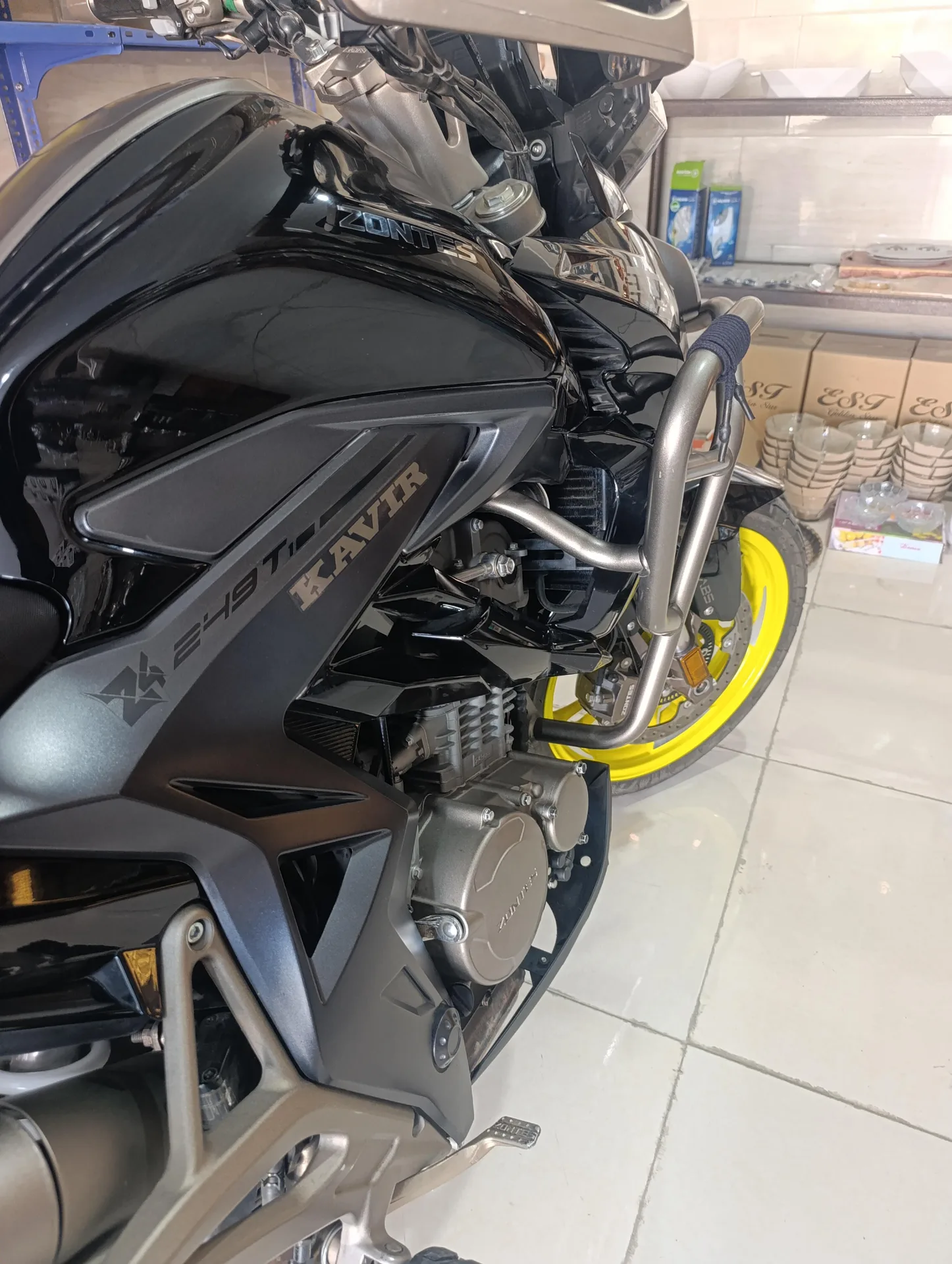 زونتس  Z4 250 T 2