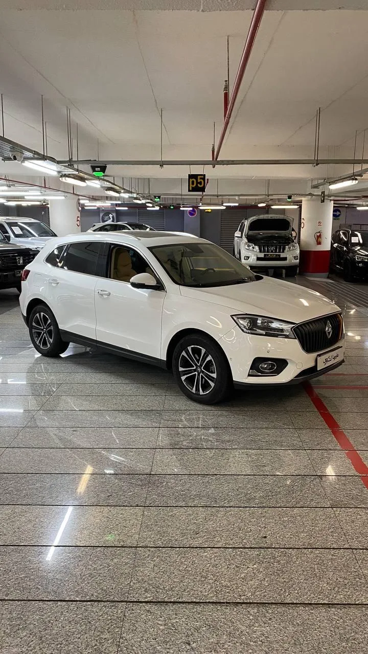 بورگوارد BX7