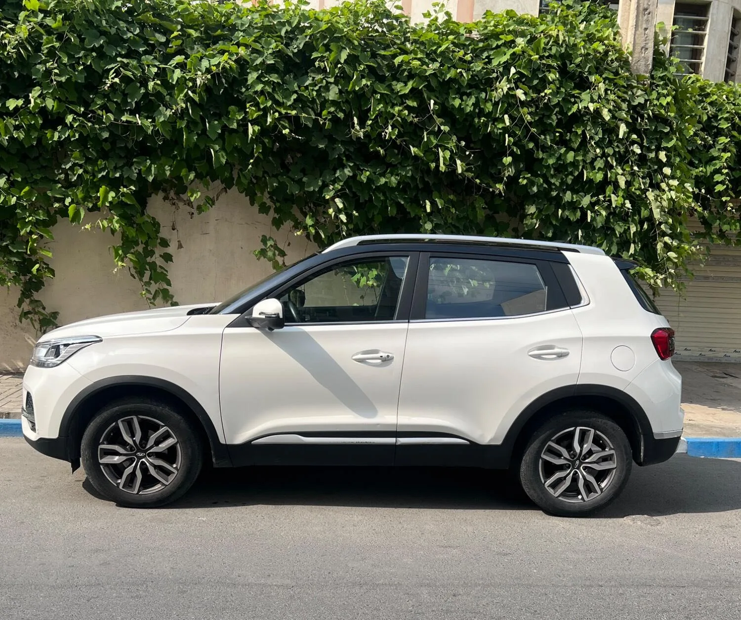 ام وی ام  X55 4