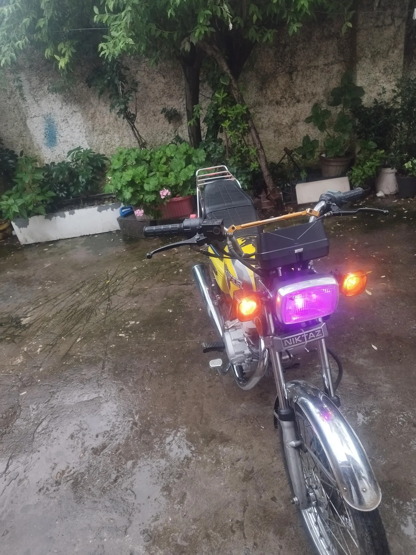 نیکتاز  200 CDI 3