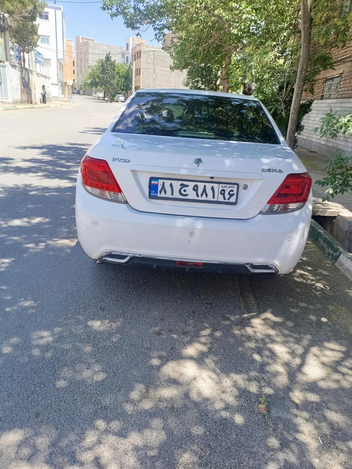 دنا  معمولی 3