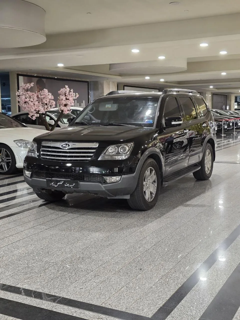 کیا موهاوی