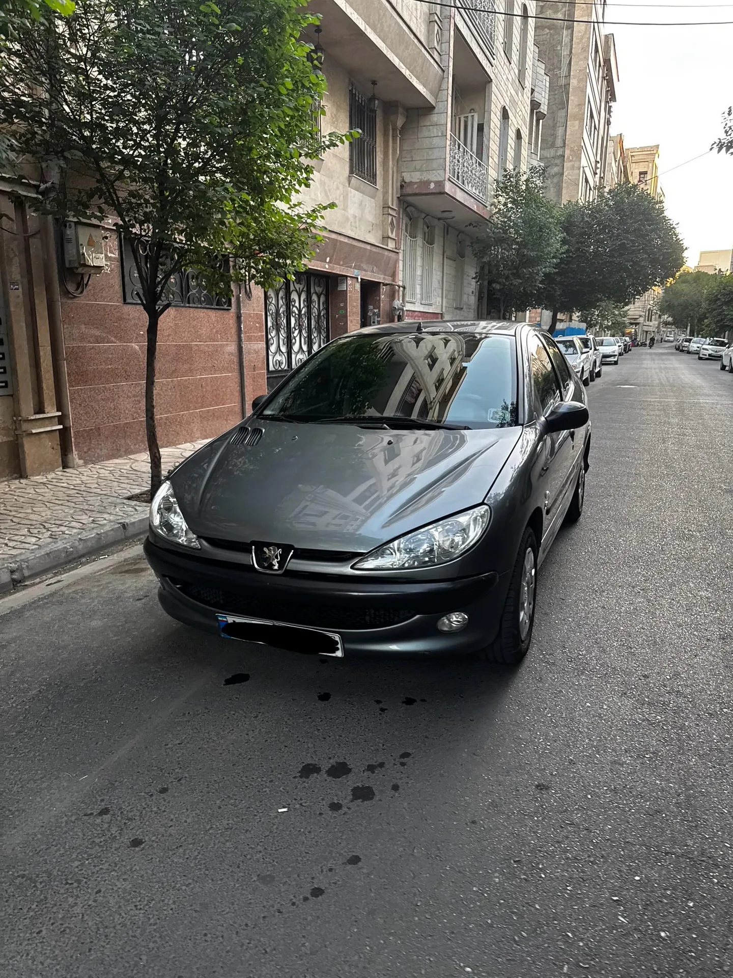 پژو 206 SD