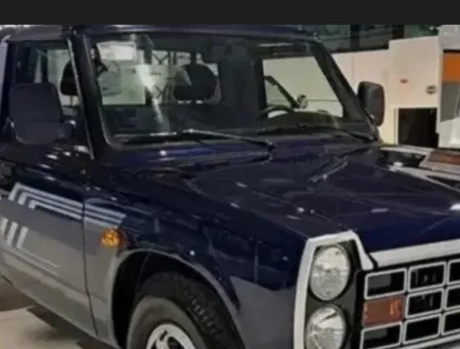 زامیاد  اکستند EX