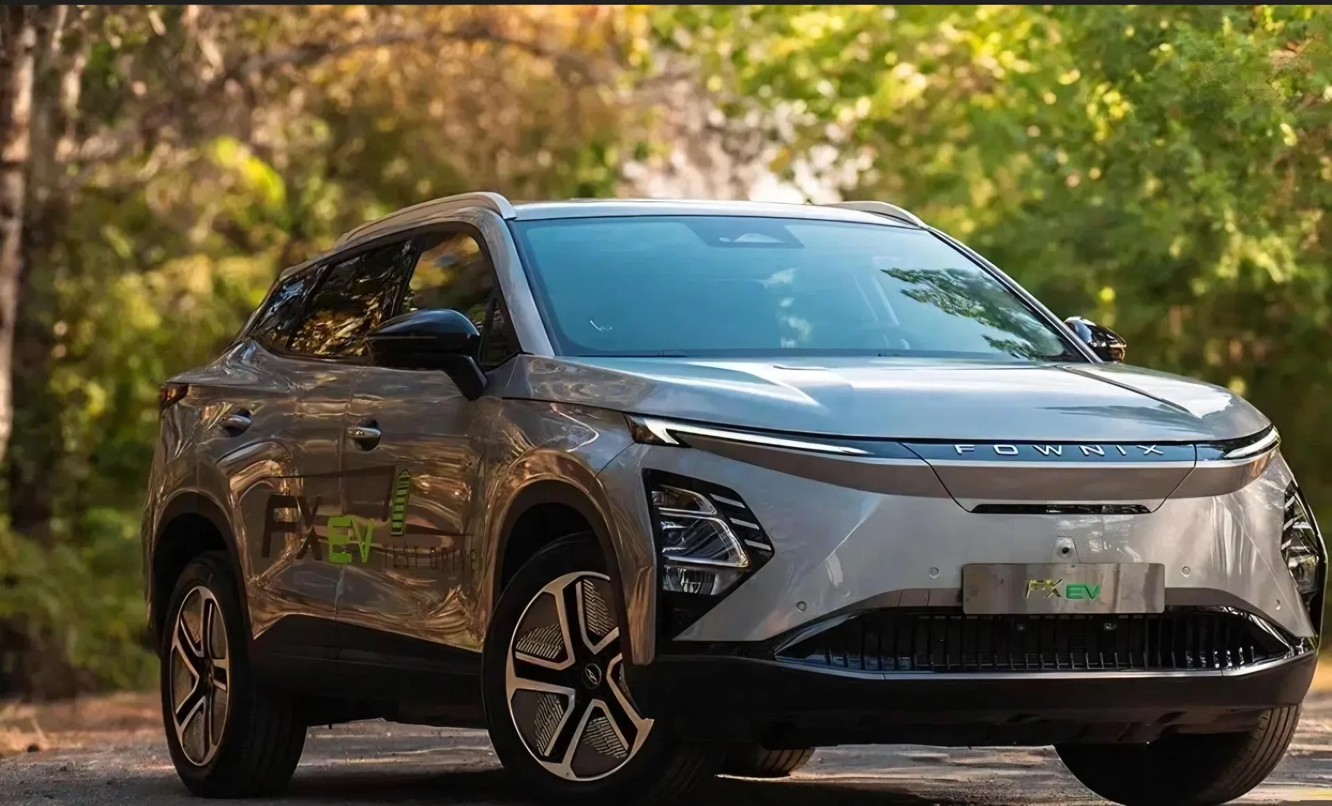 فونیکس FX EV