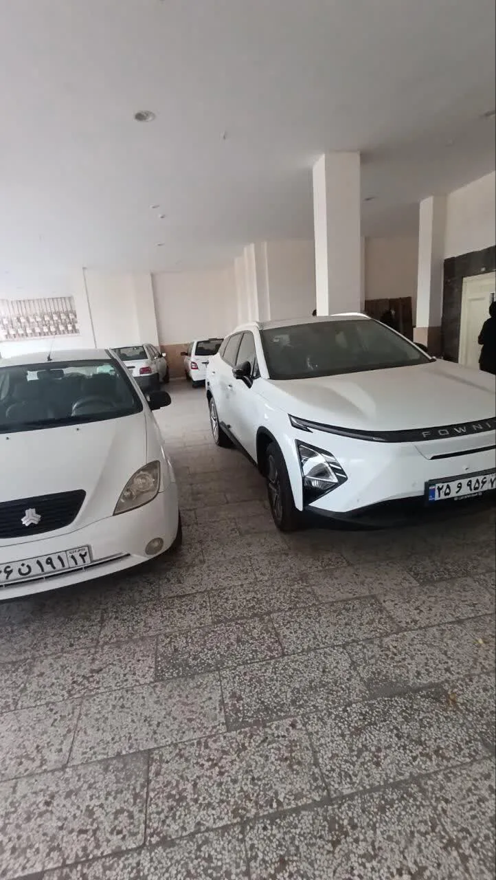 فونیکس  FX EV 4