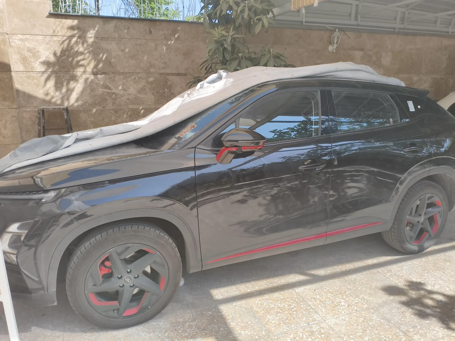فونیکس FX