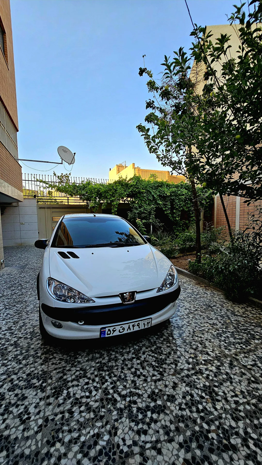 پژو 206 SD