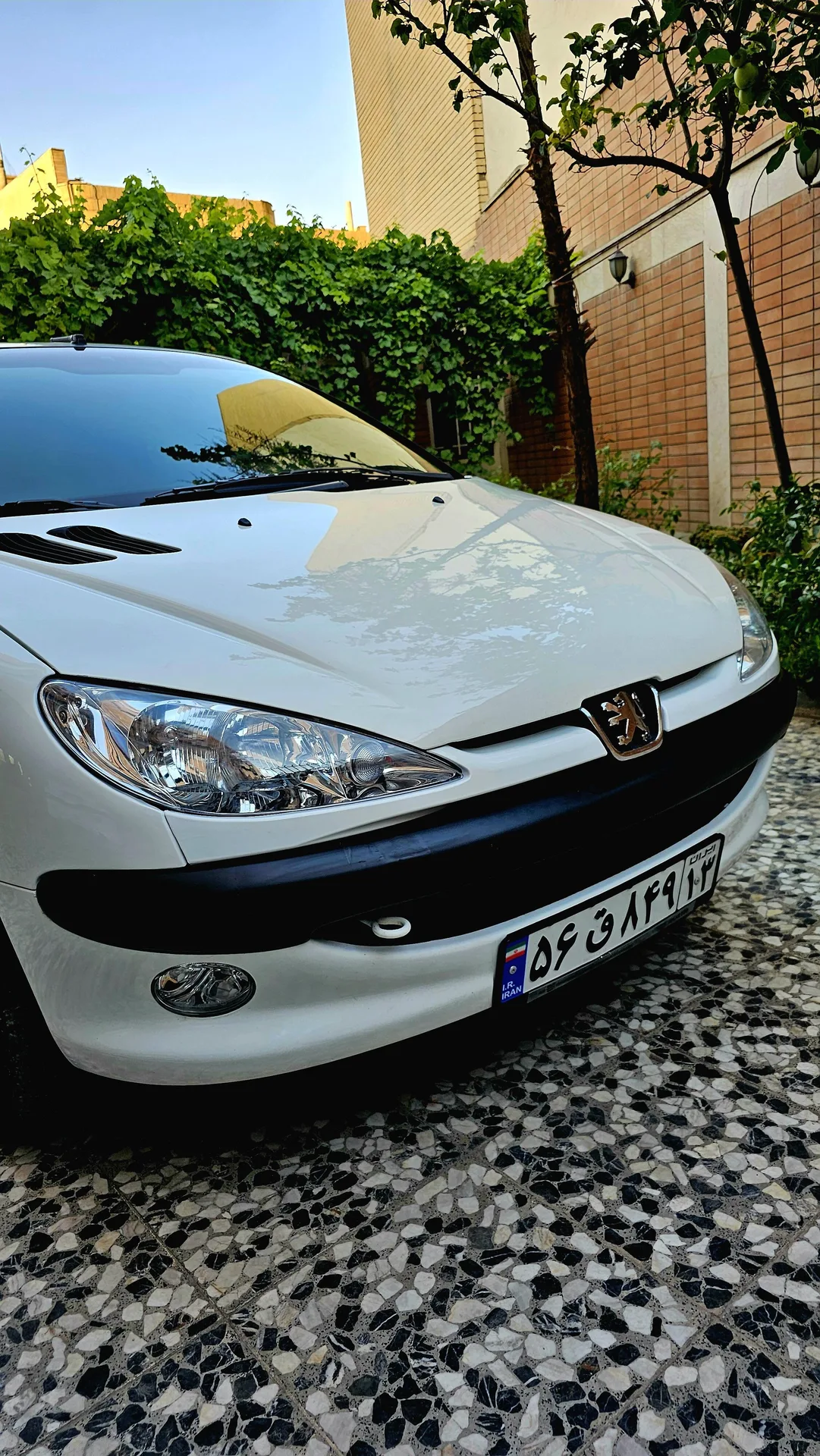 پژو  206 SD 4