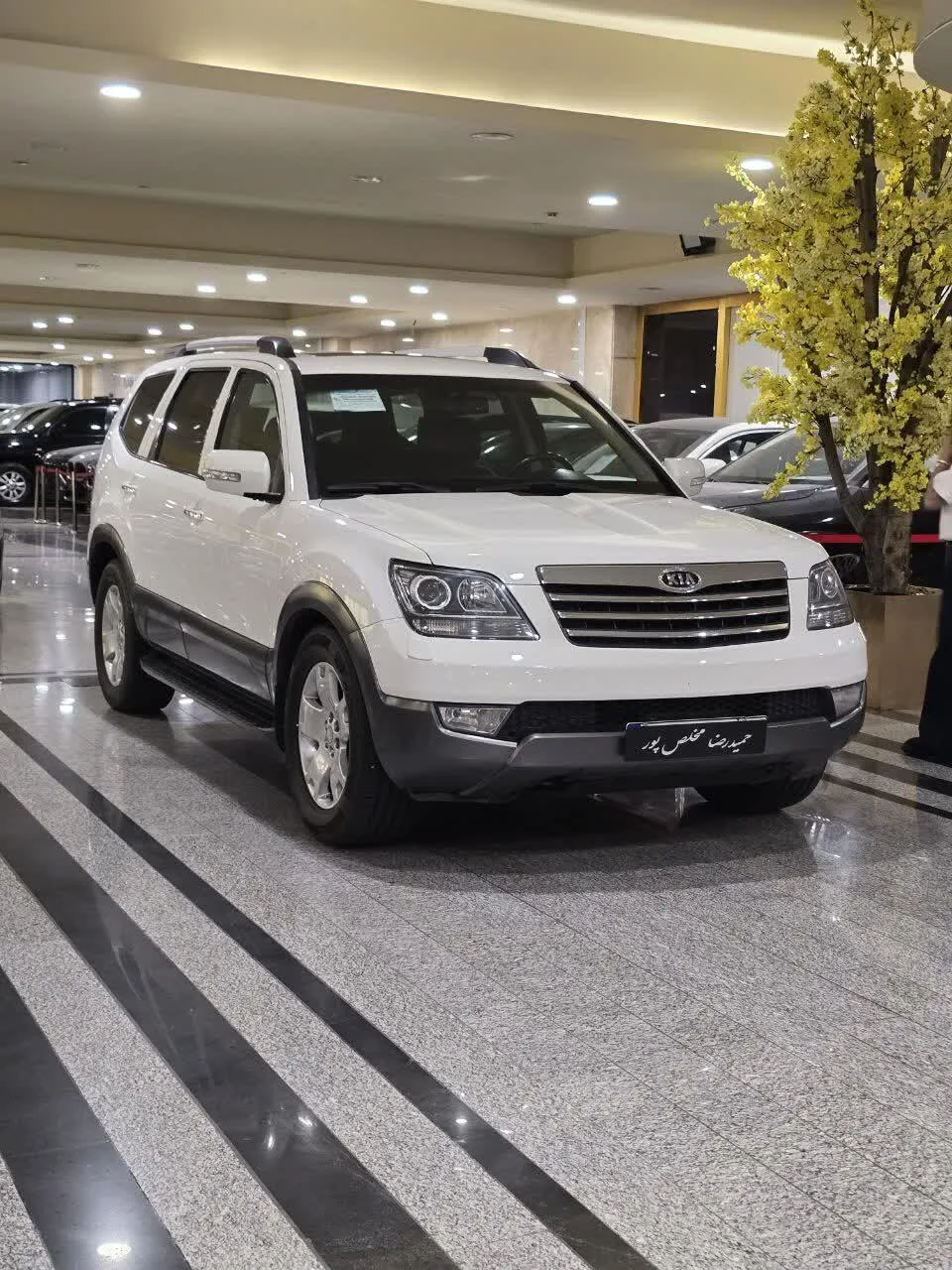 کیا  موهاوی
