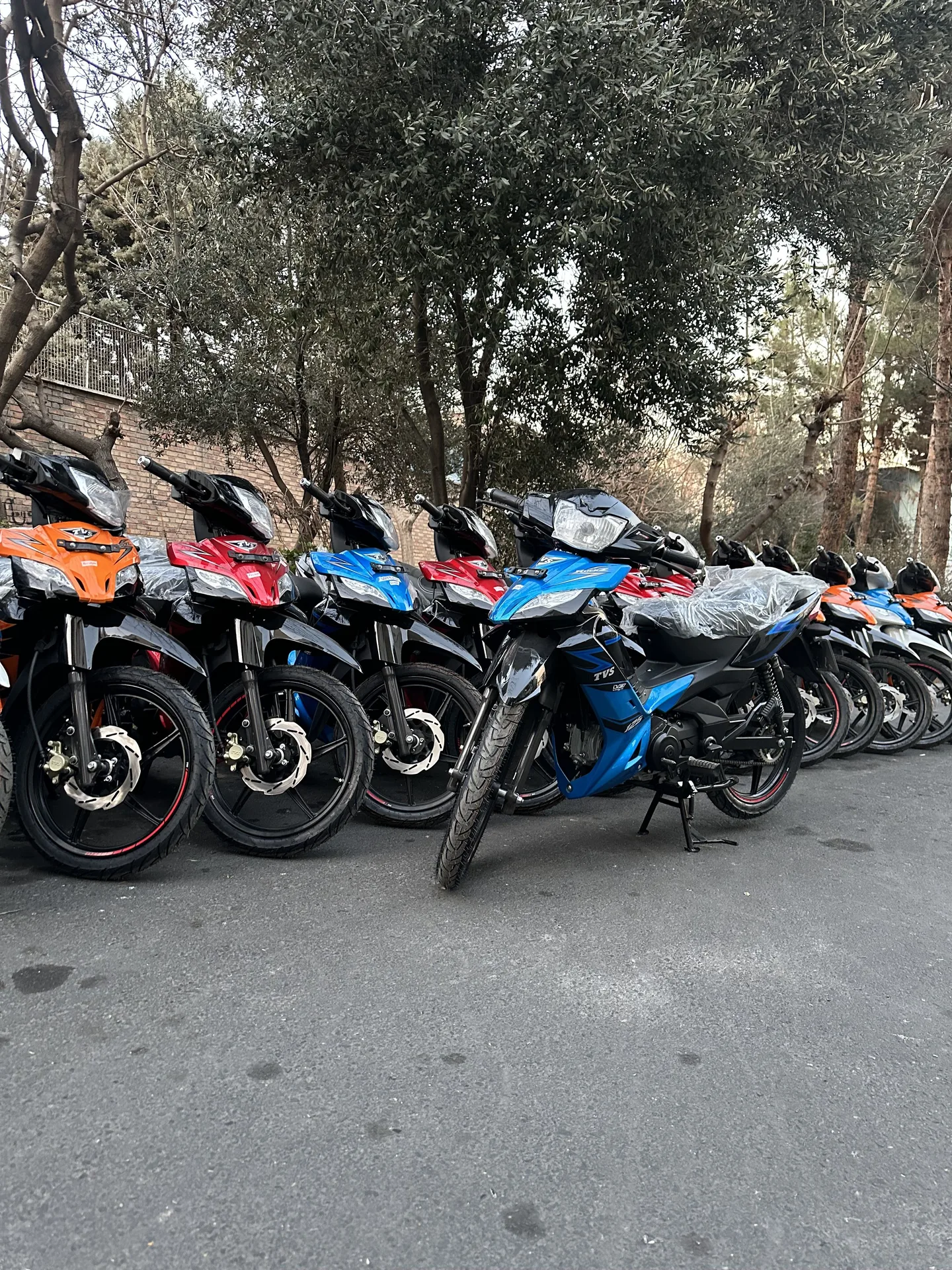 تی وی اس راکز