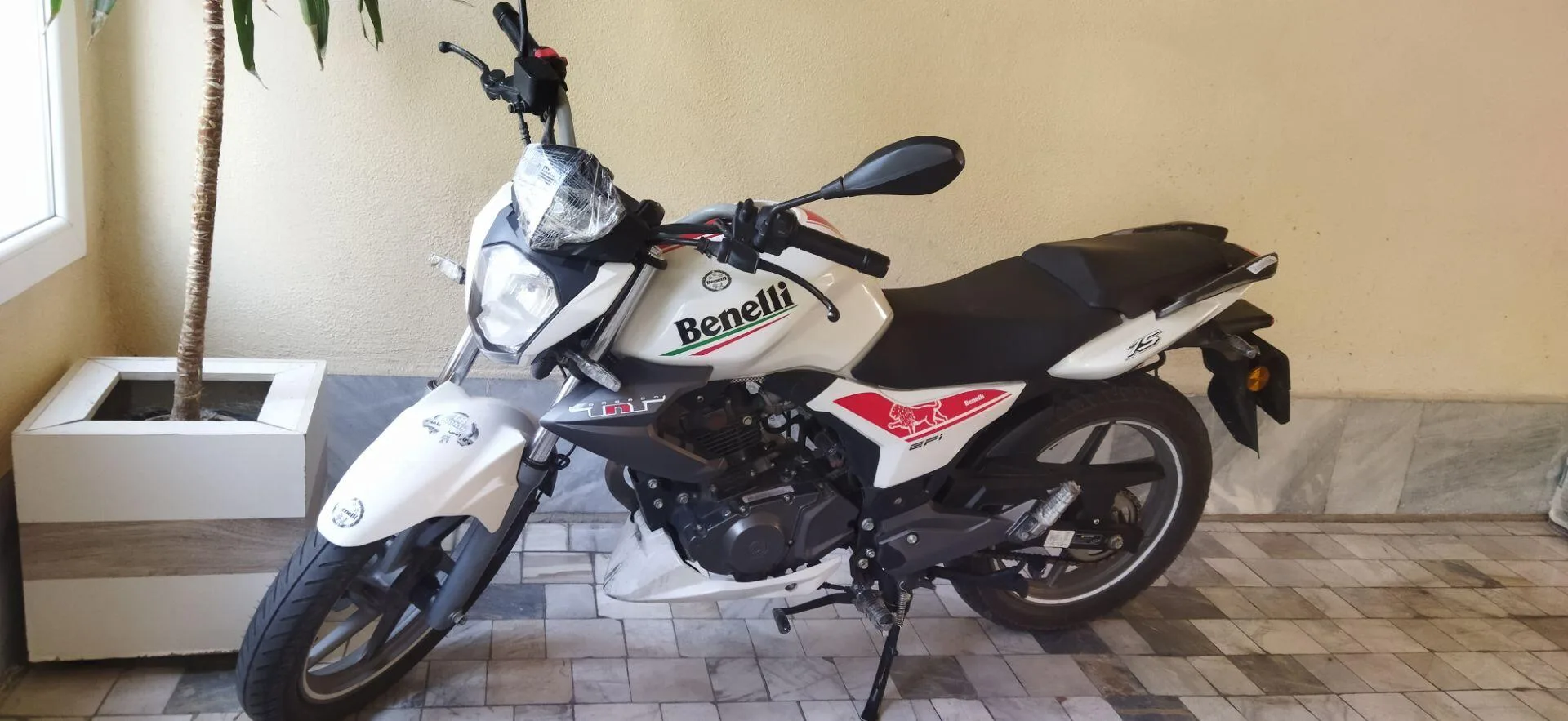بنلی  SETA 150 3