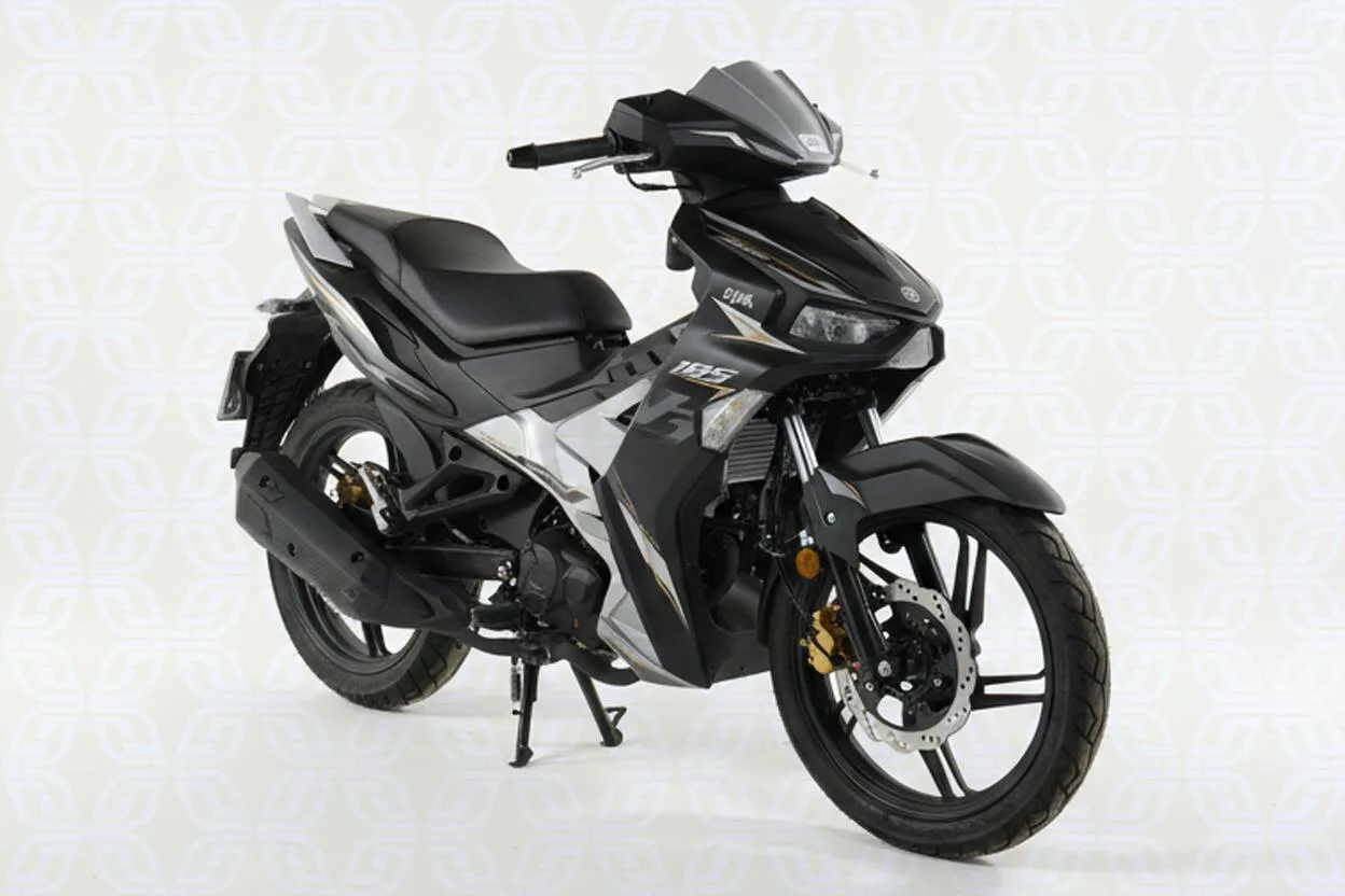 سهند سیکلت  لاکی VF3 185 2
