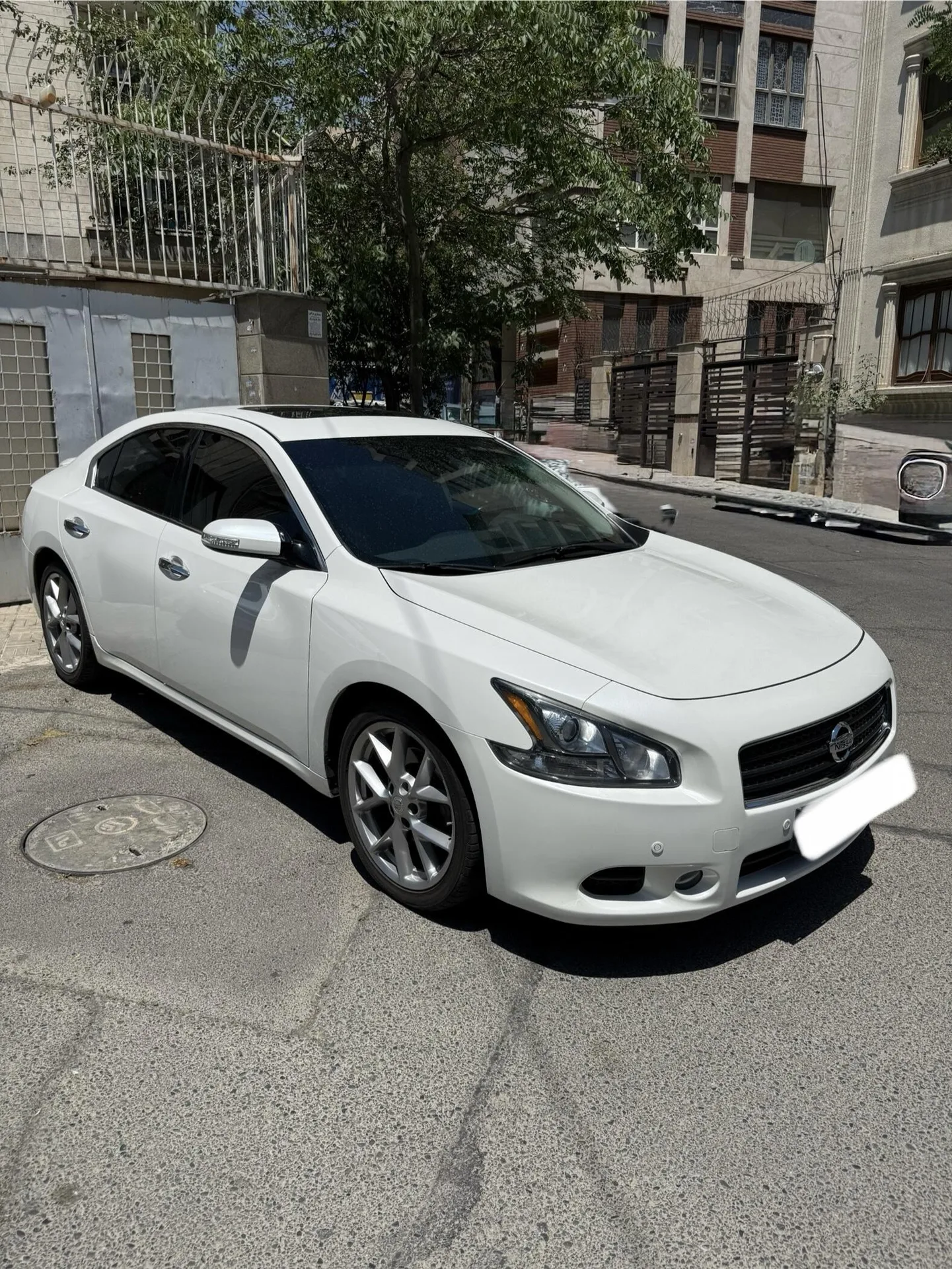 نیسان ماکسیما