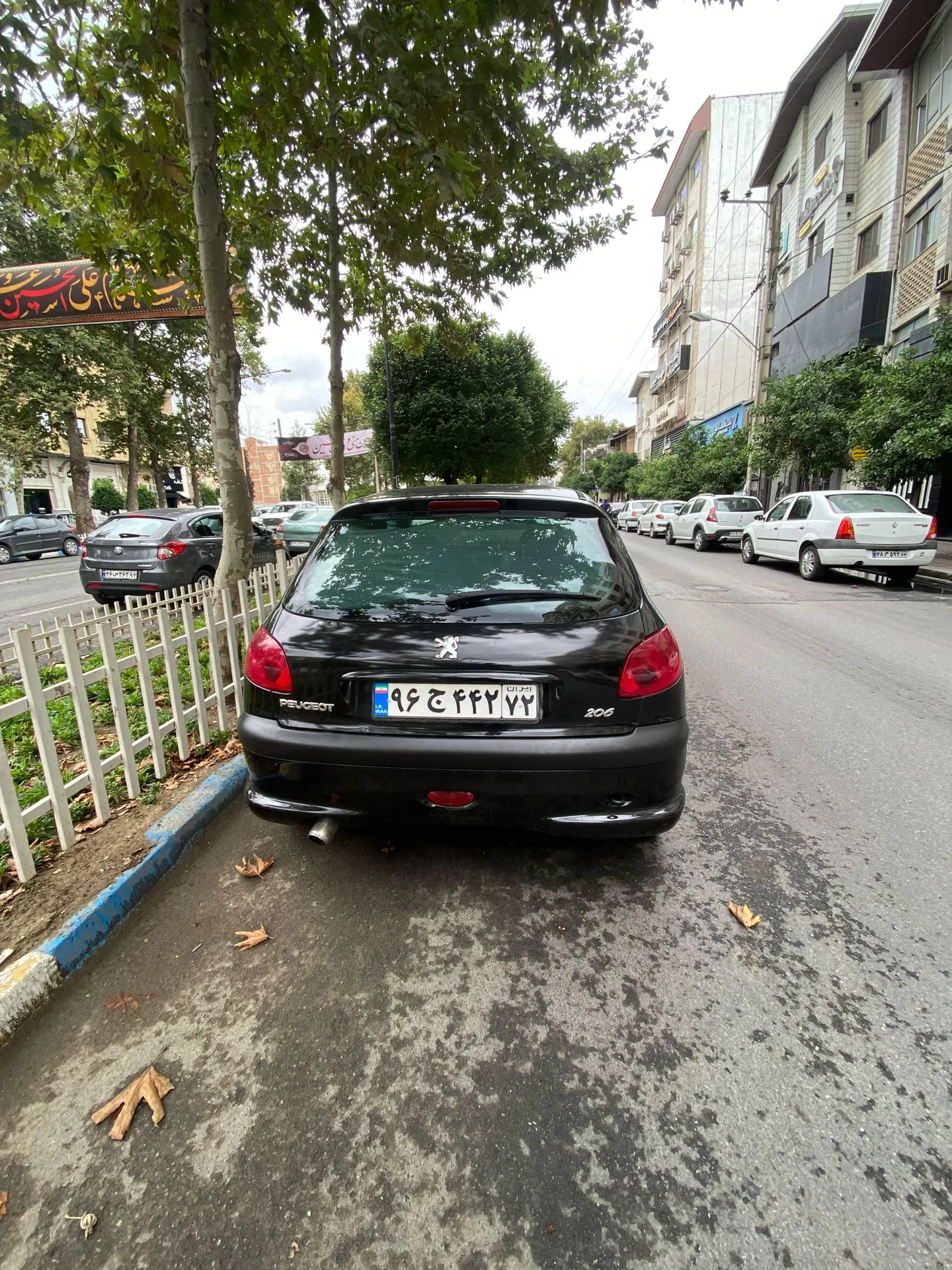 پژو  206 2