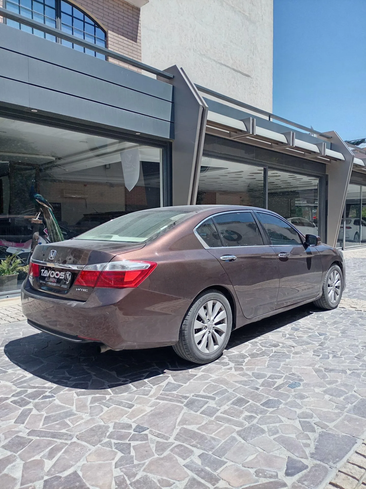 هوندا  آکورد 6