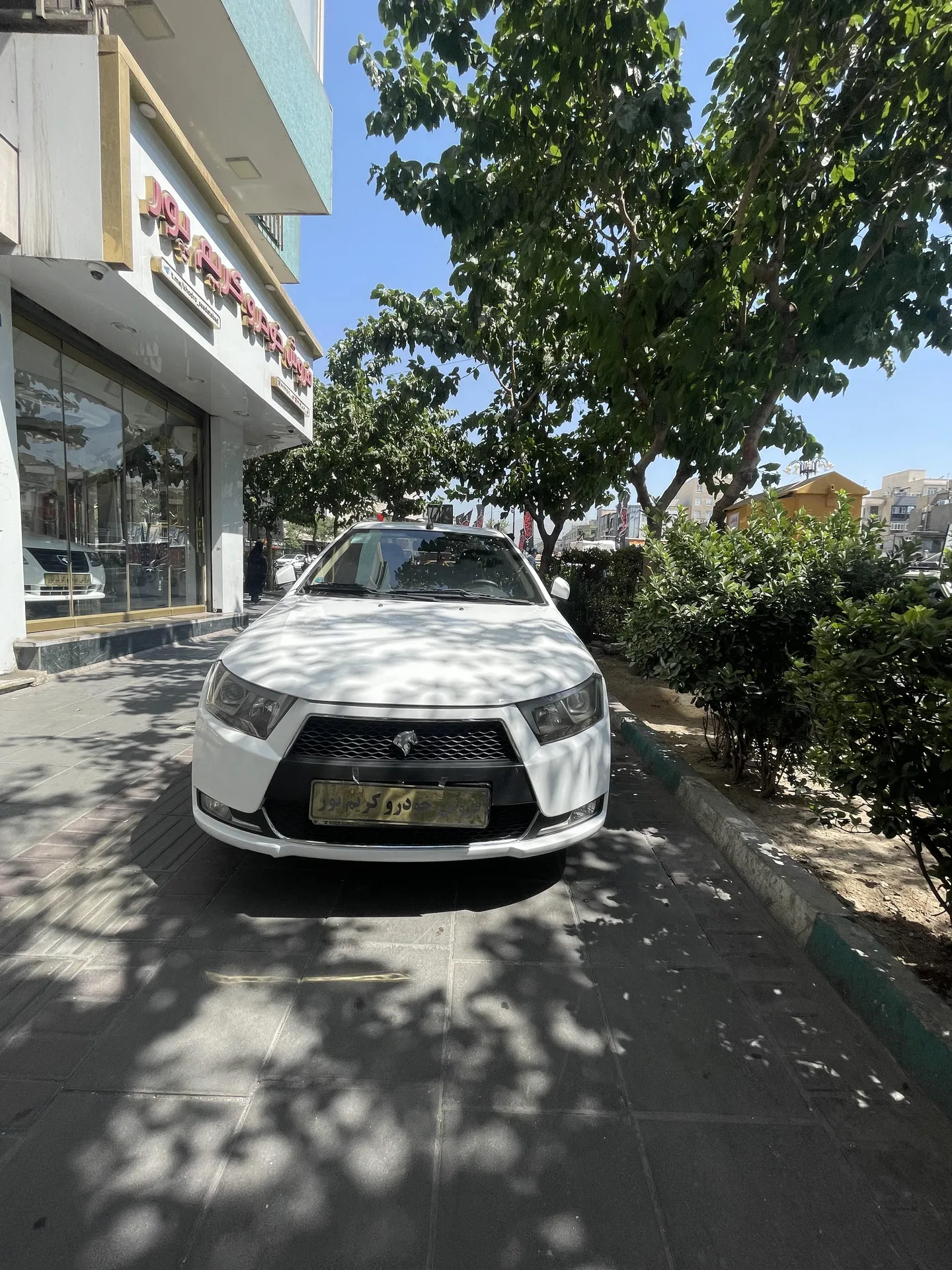 دنا پلاس EF7