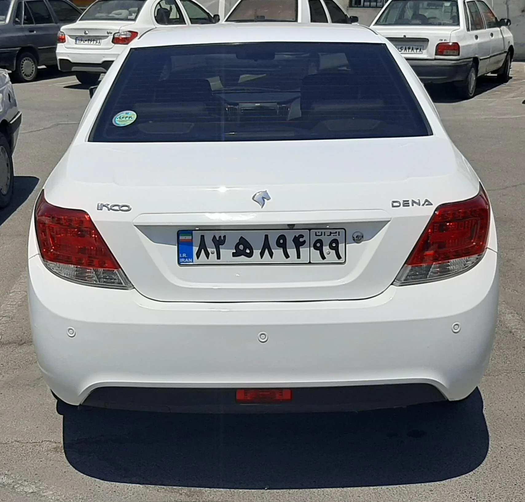 دنا  معمولی 2