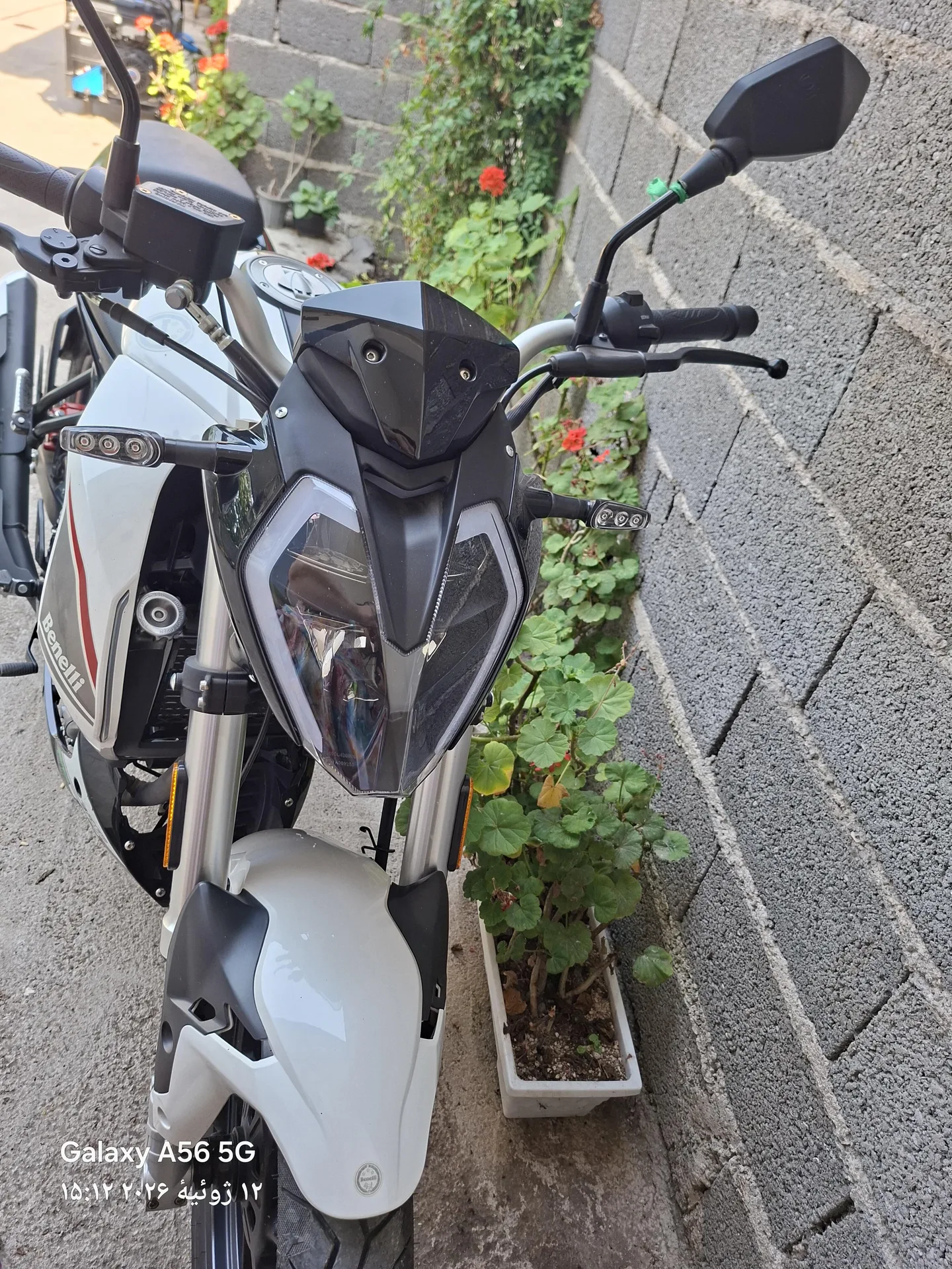 بنلی  TNT 180S 2