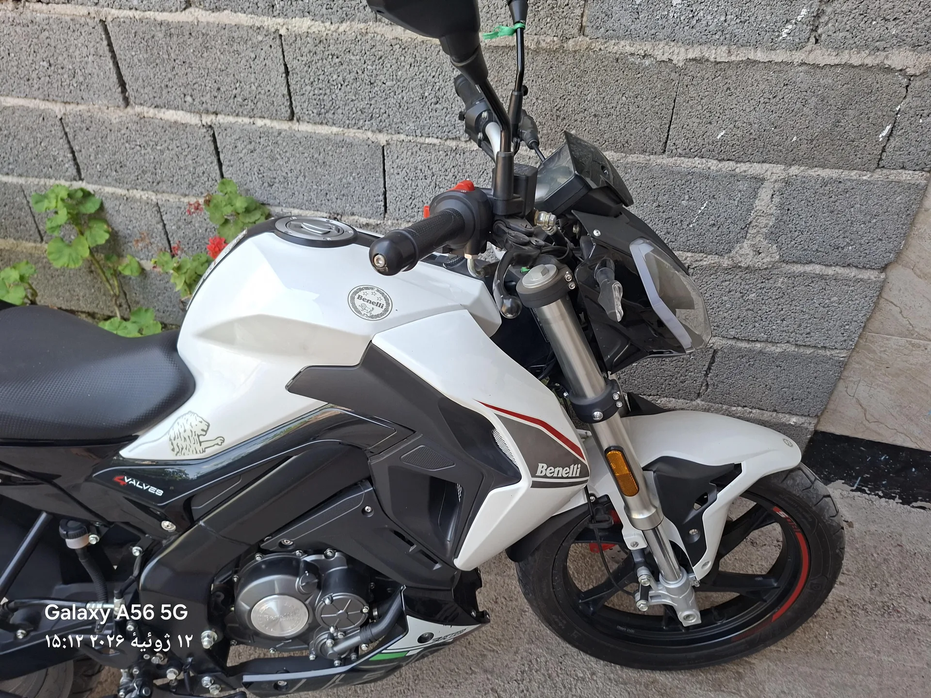 بنلی  TNT 180S 3