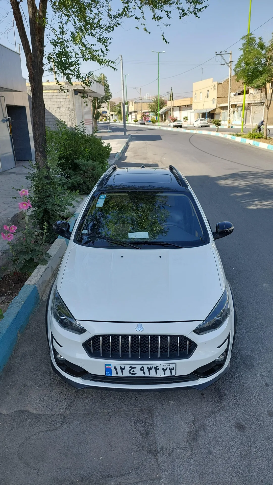 اطلس  دنده ای