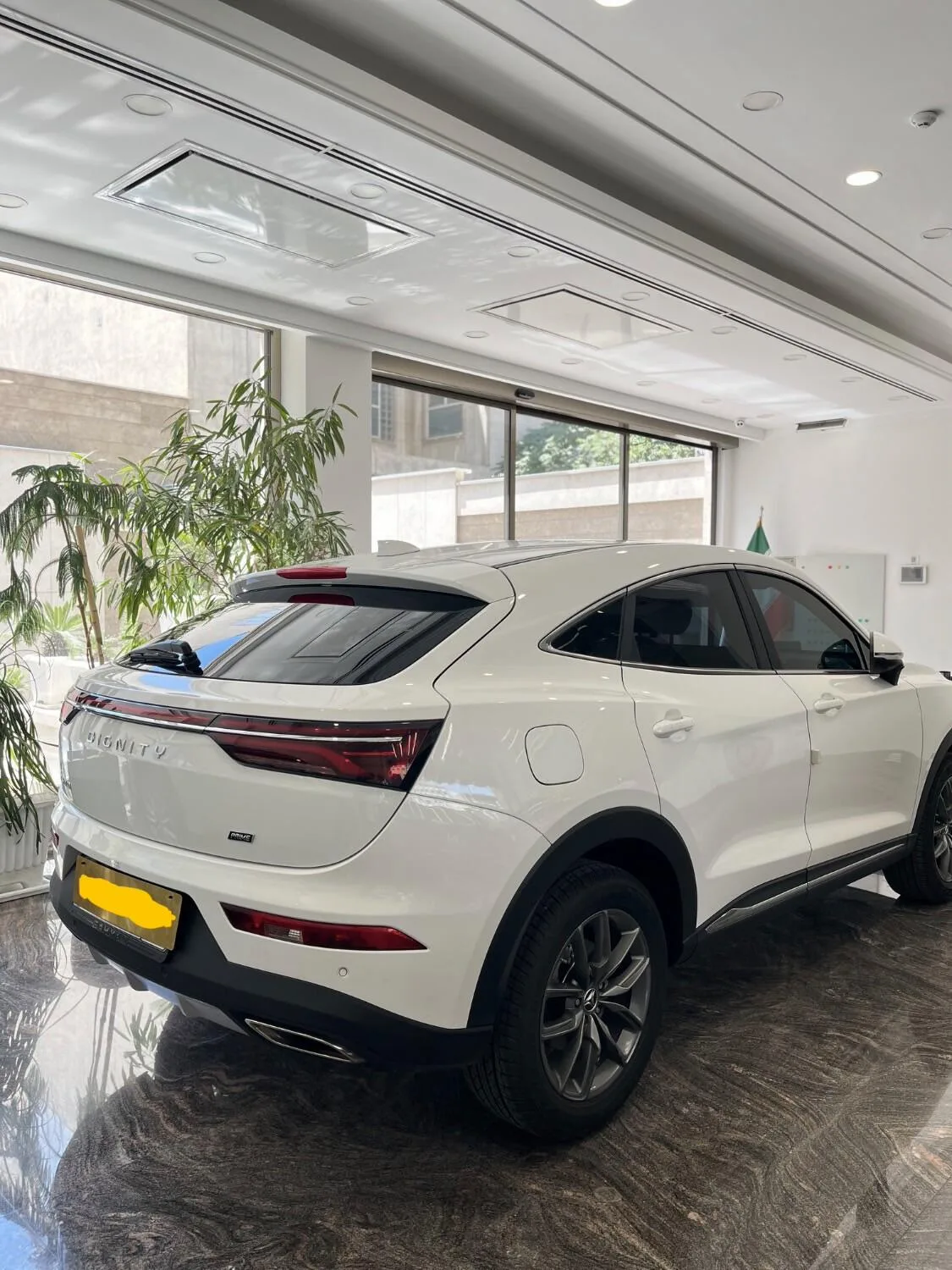 دیگنیتی  پرایم 5
