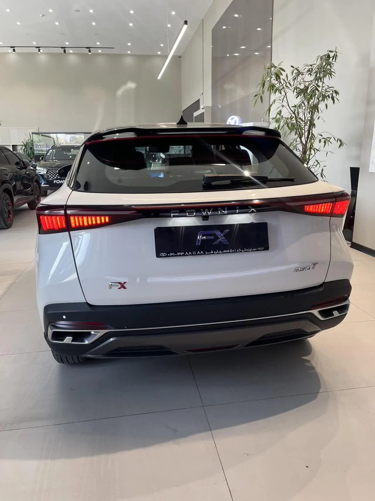 فونیکس  FX 5