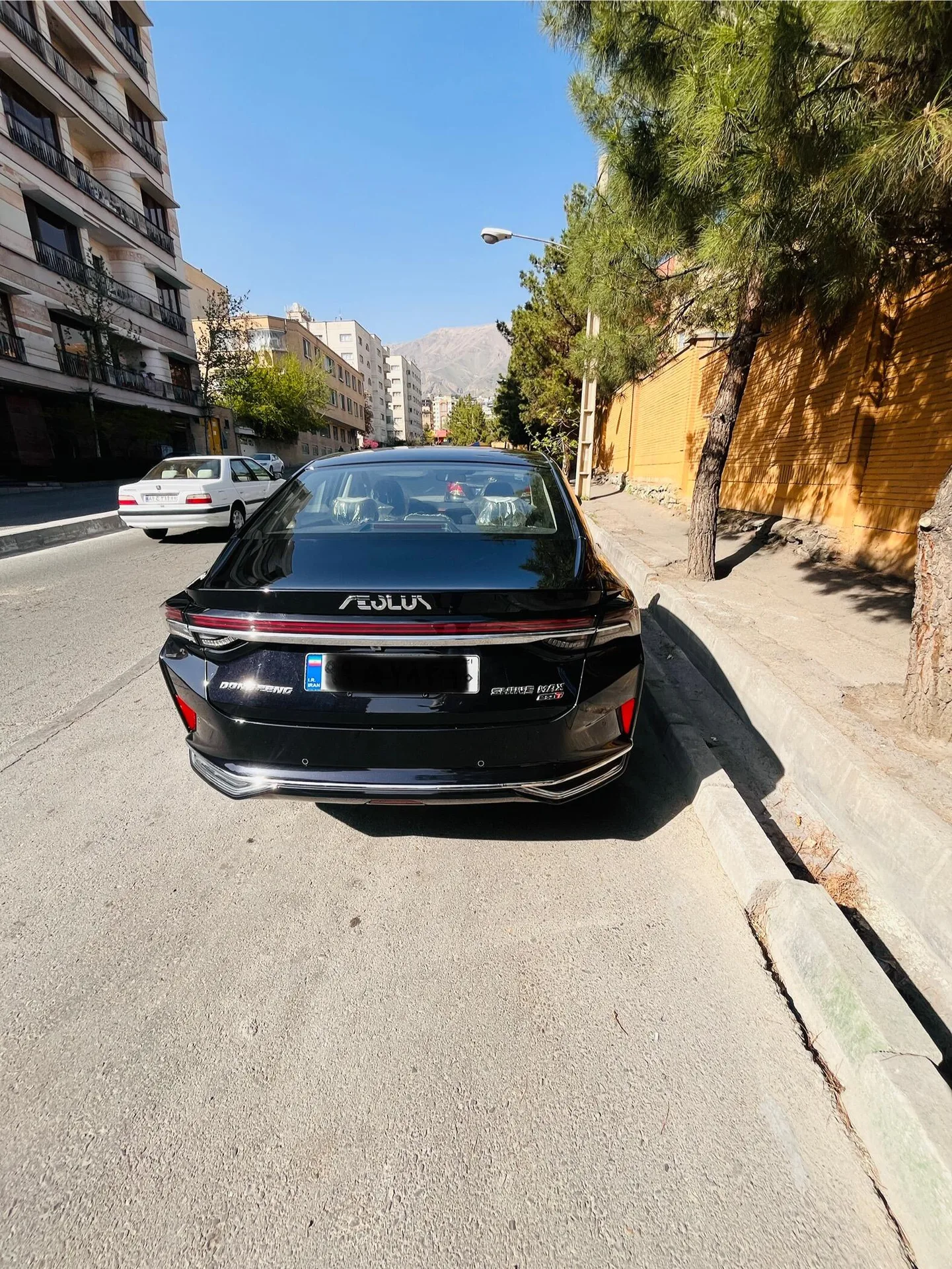 دانگ فنگ  شاین مکس 2