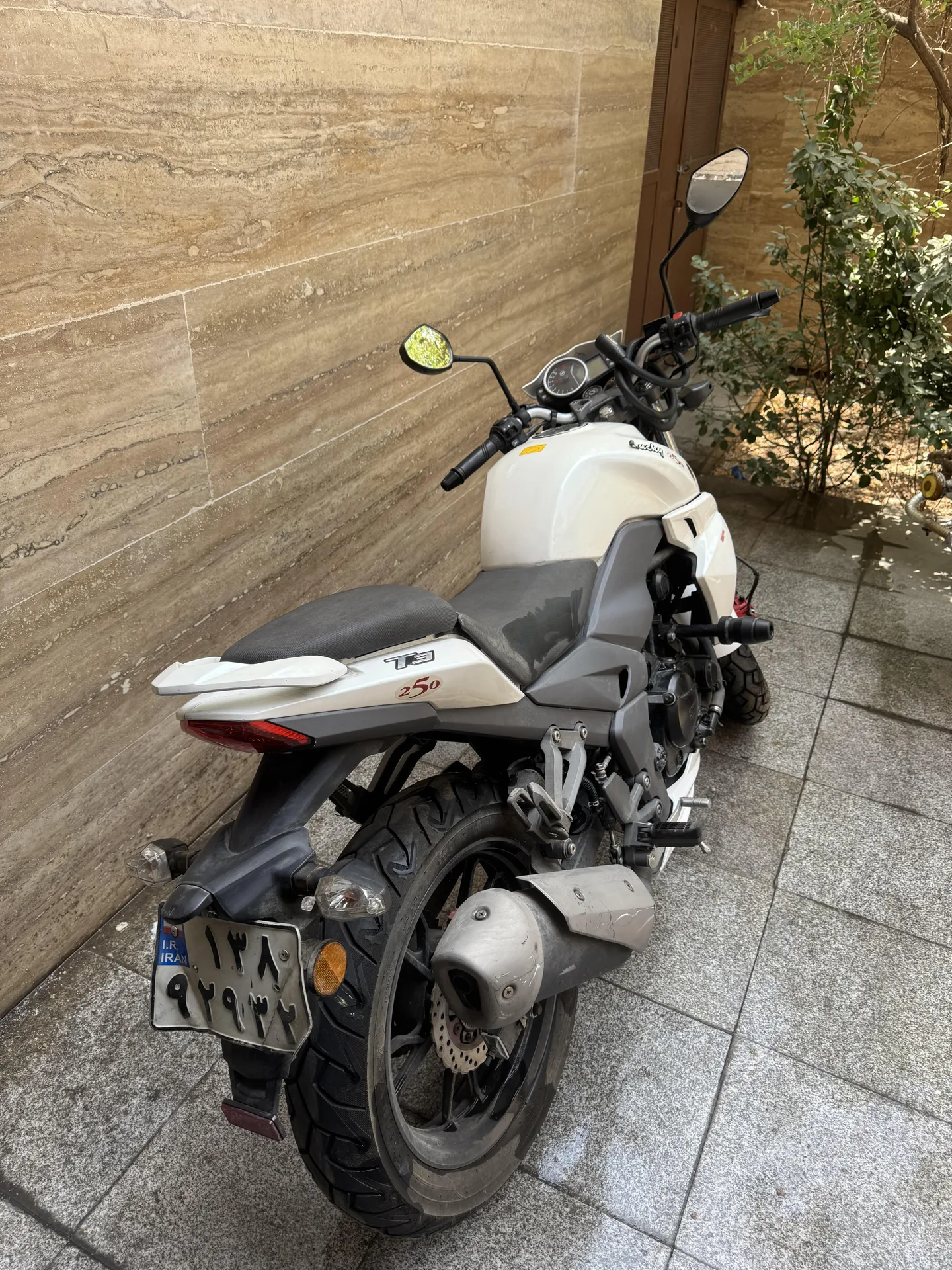 اس وای ام  لاکی T3 250 4