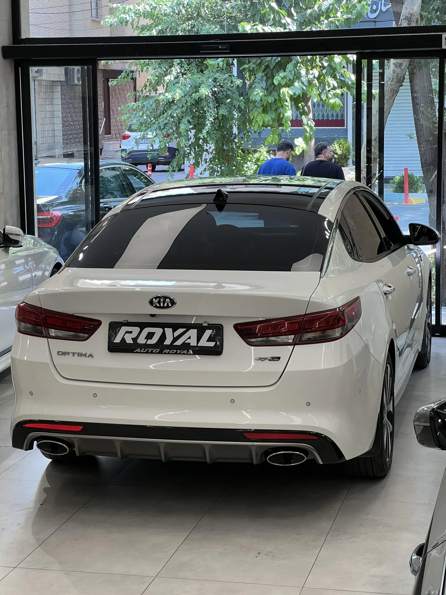 کیا  اپتیما 6