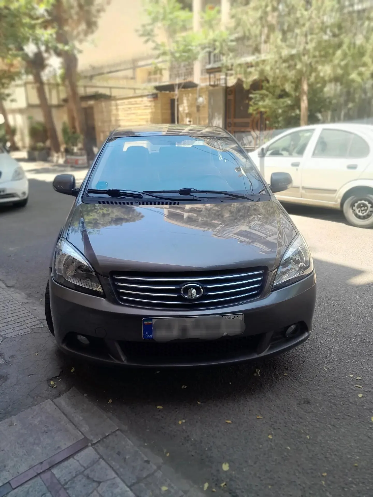 گریت وال  C30