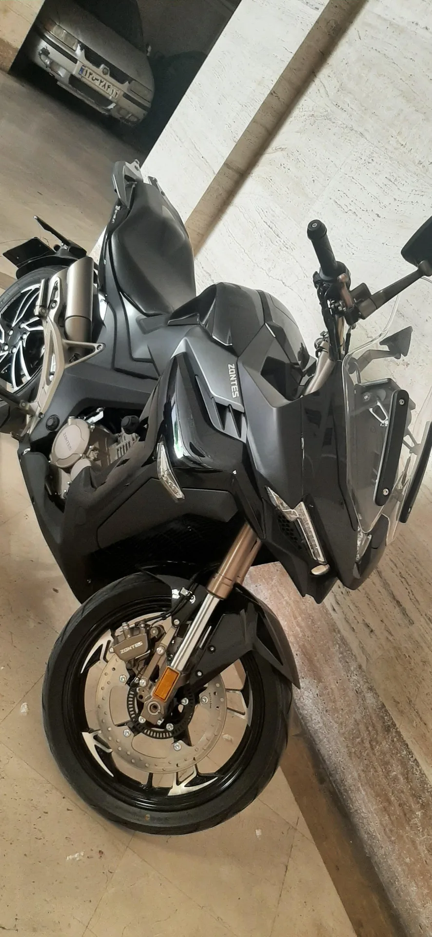 زونتس  Z4 250 T 2