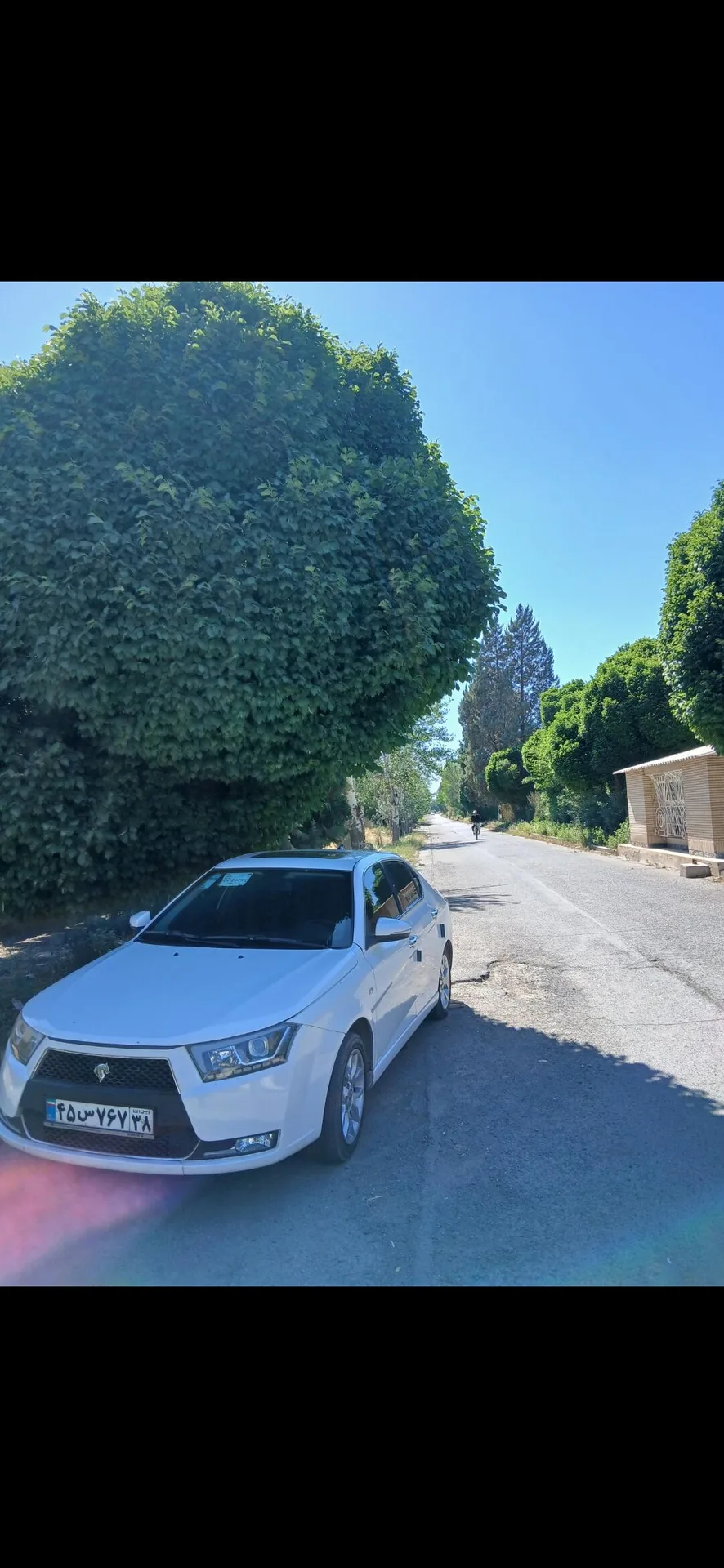 دنا پلاس EF7