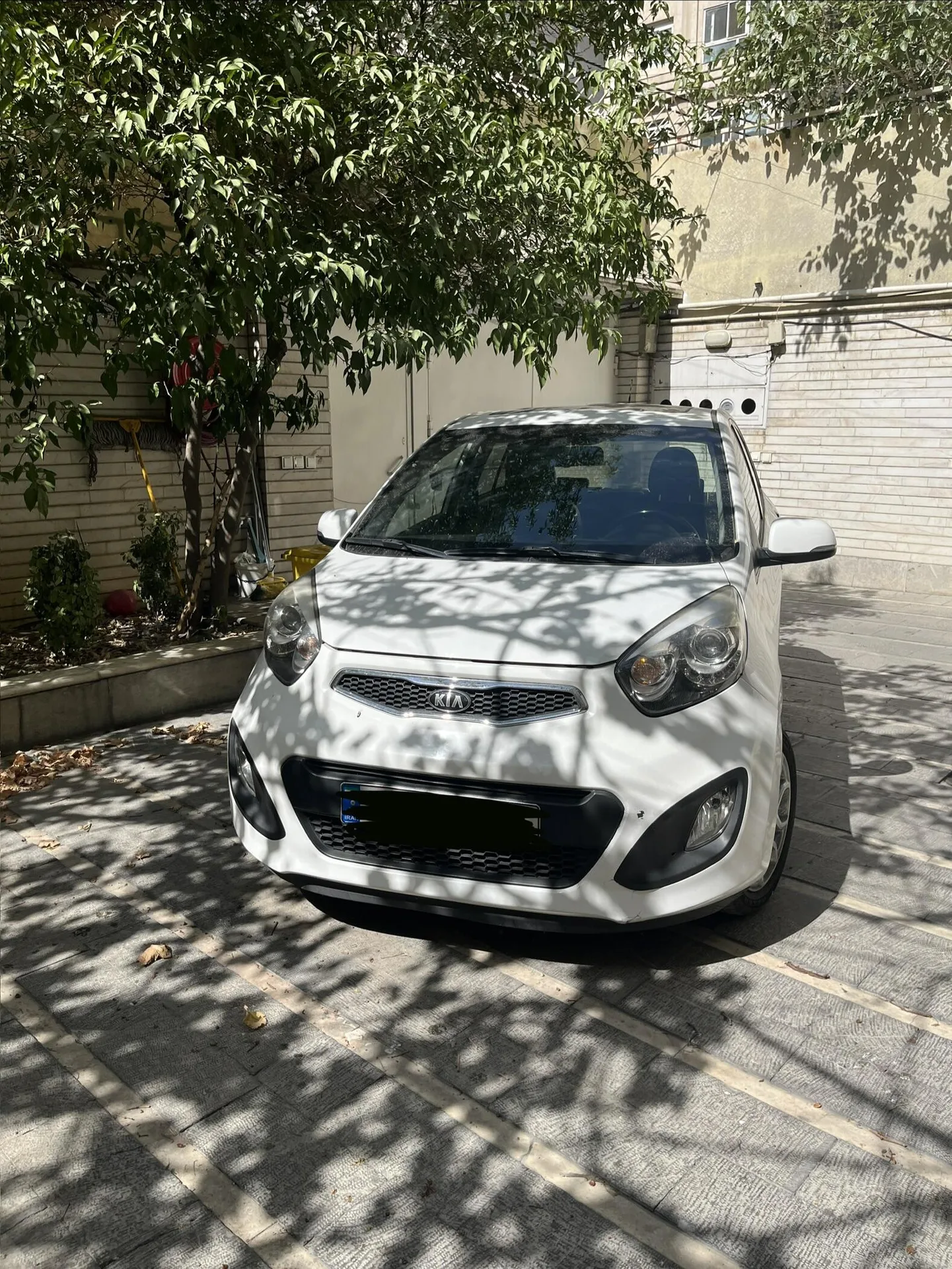 کیا  پیکانتو 2