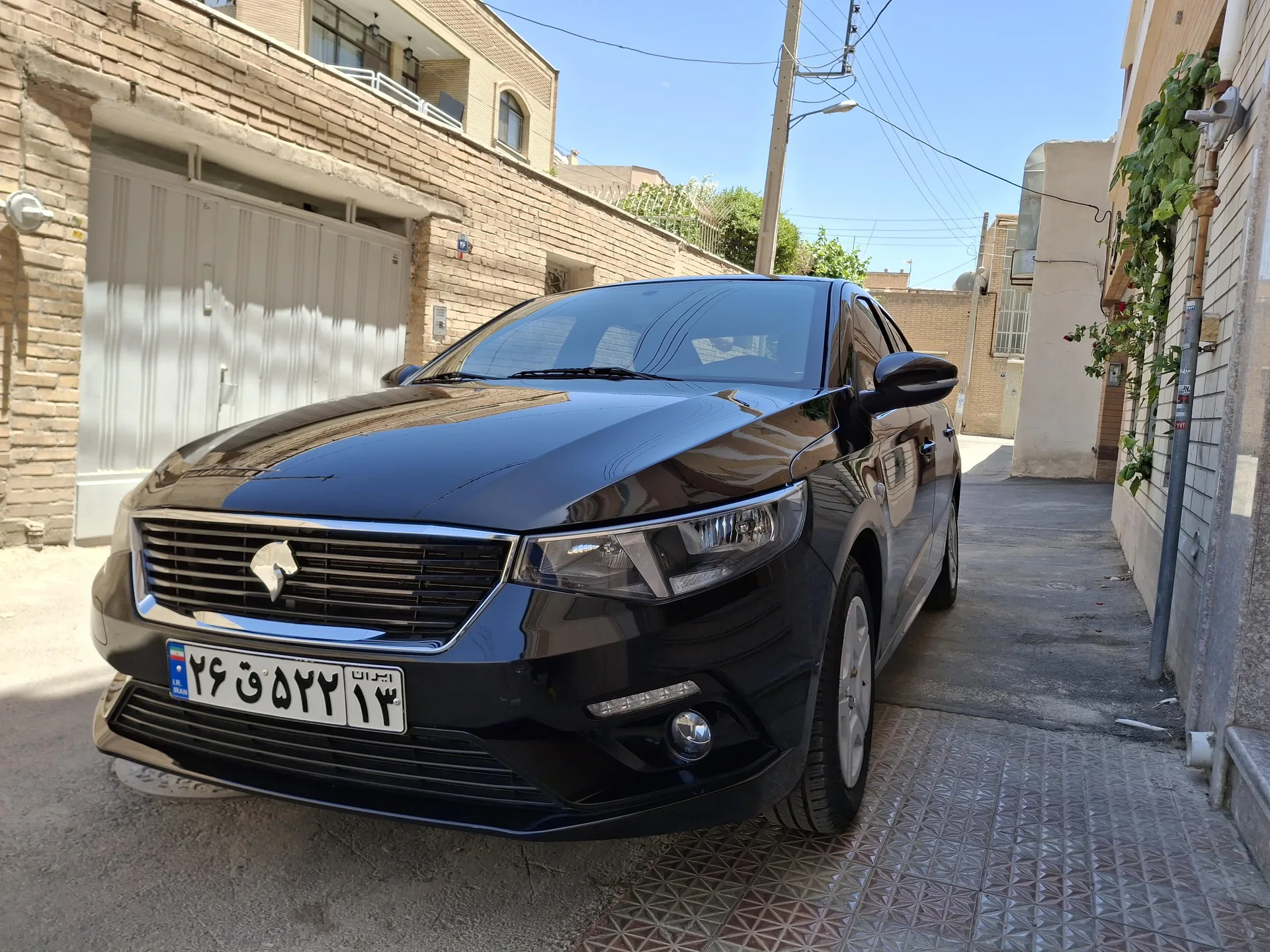 تارا دنده ای V1