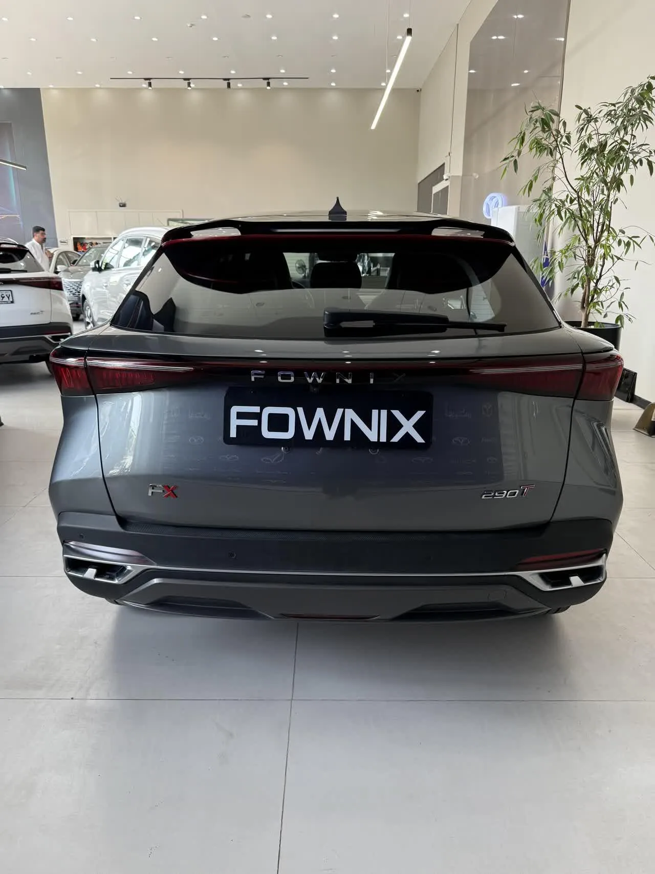 فونیکس  FX 5