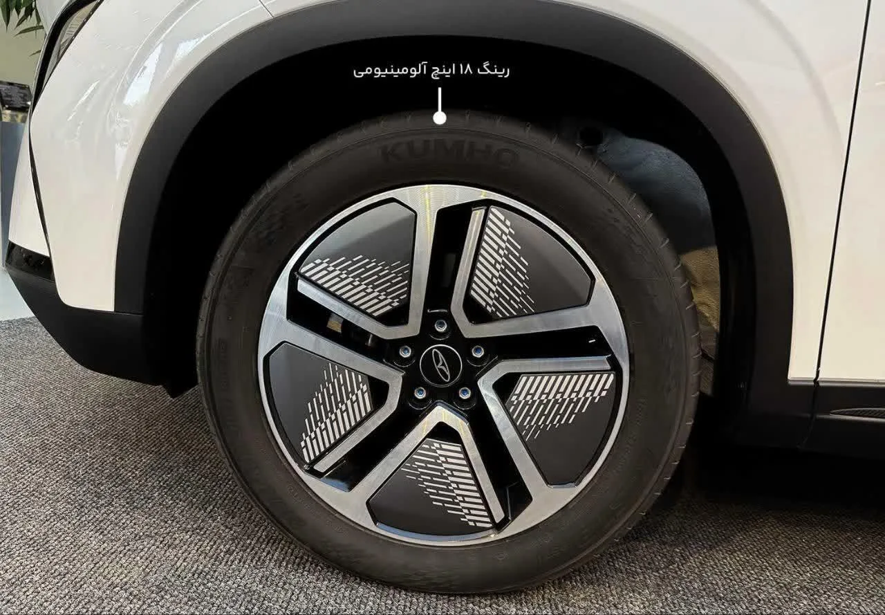 فونیکس  FX EV 6