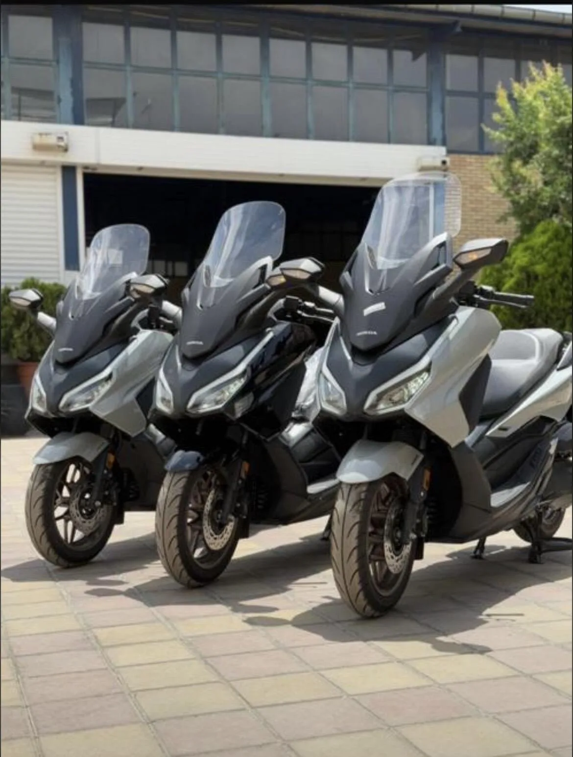 هوندا فورزا 350